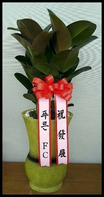 ����ȭ��<��*��>