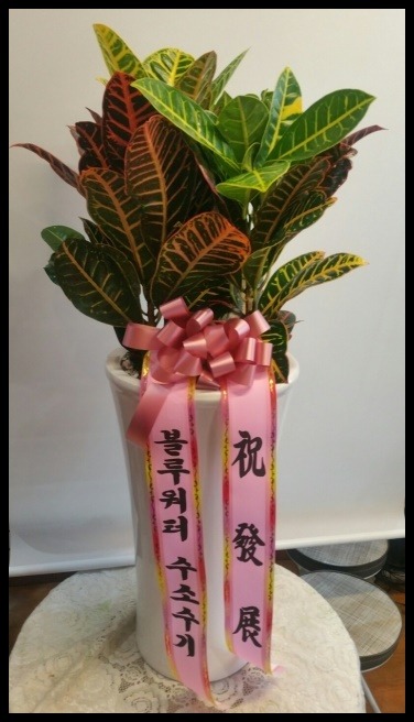 ����ȭ��<��*��>