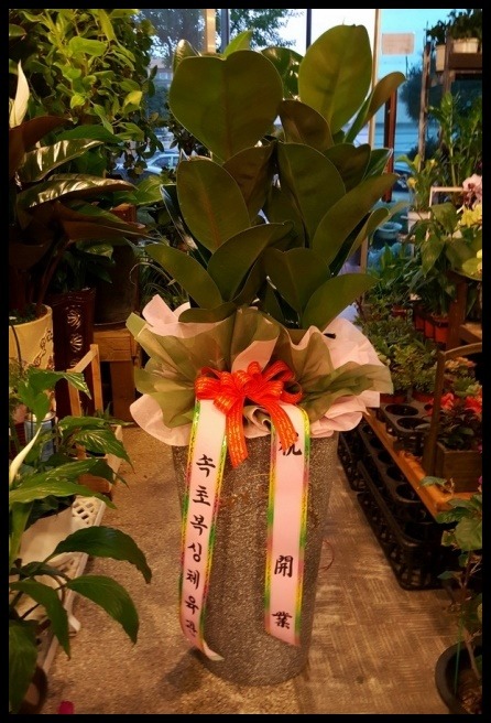 ����ȭ��<��*��>