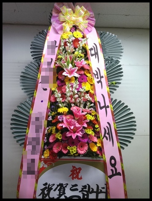 6��������ȭȯ<��*ȿ>