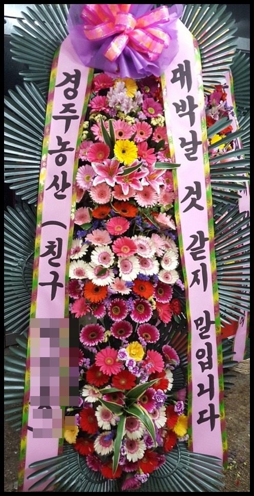 6��������ȭȯ<��*��>