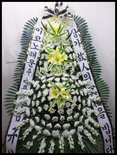 6��������ȭȯ<��*��>