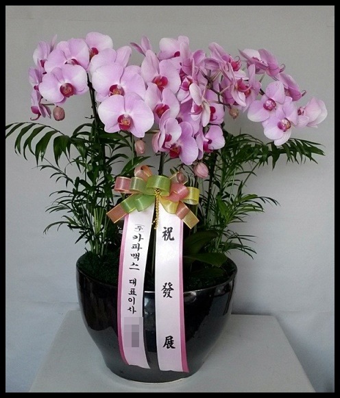 ���糲<��*��>