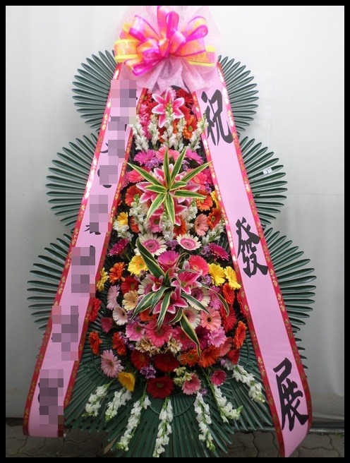 6����3������ȭȯ<��*��>