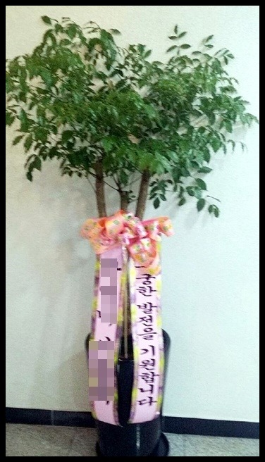 ����ȭ��<��*��>