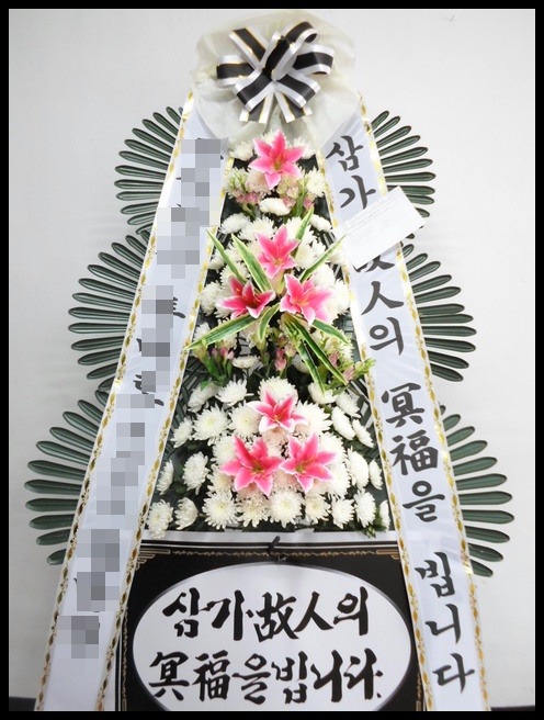 6����3�ܱ���ȭȯ<��*��>