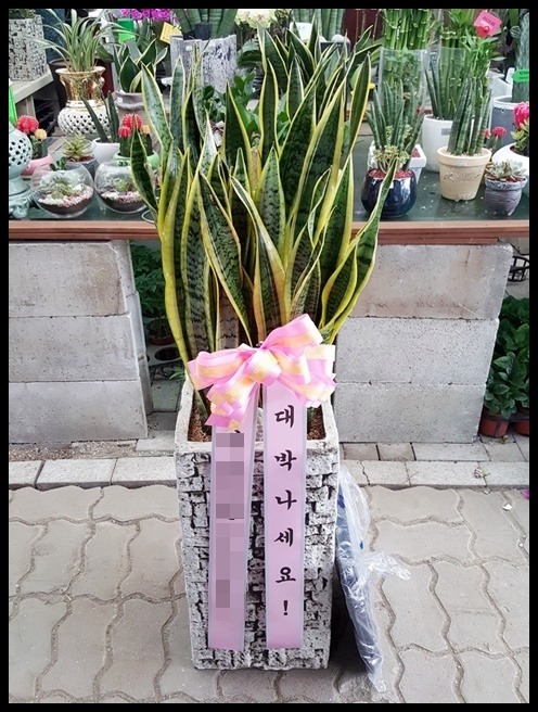 ����ȭ��<��*��>