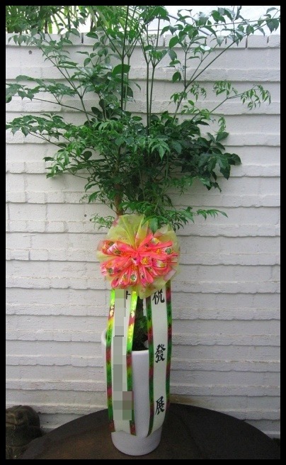 ����ȭ��<��*��>