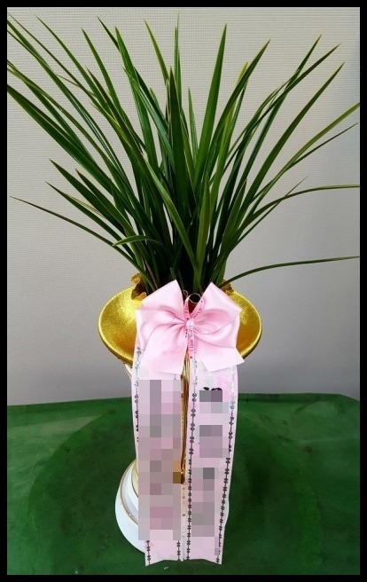 ���糭<��*��>