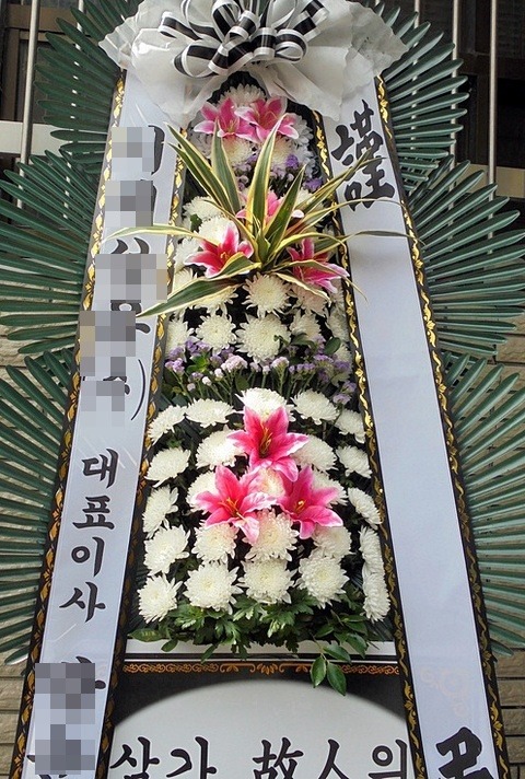 6����3�ܱ���ȭȯ<��*��>