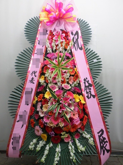 6����3������ȭȯ<��*��>