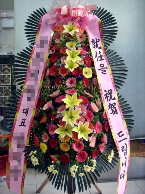 ����ȭȯ3��6��<��*��>