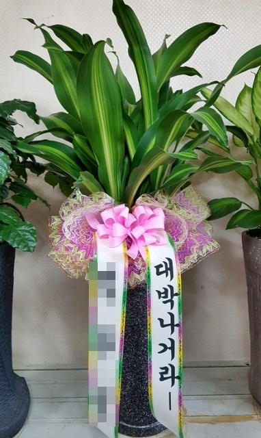 ����ȭ��<��*��>