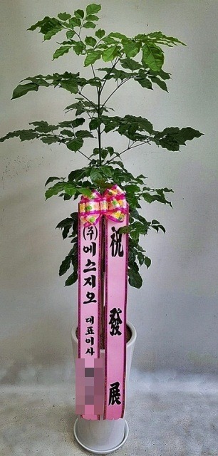 ����ȭ��<��*��>