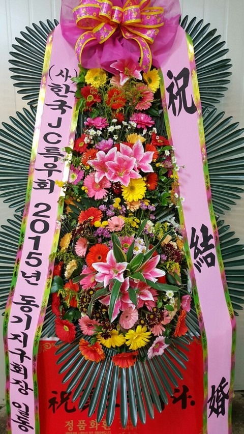 ����ȭȯ3��6��<��*��>