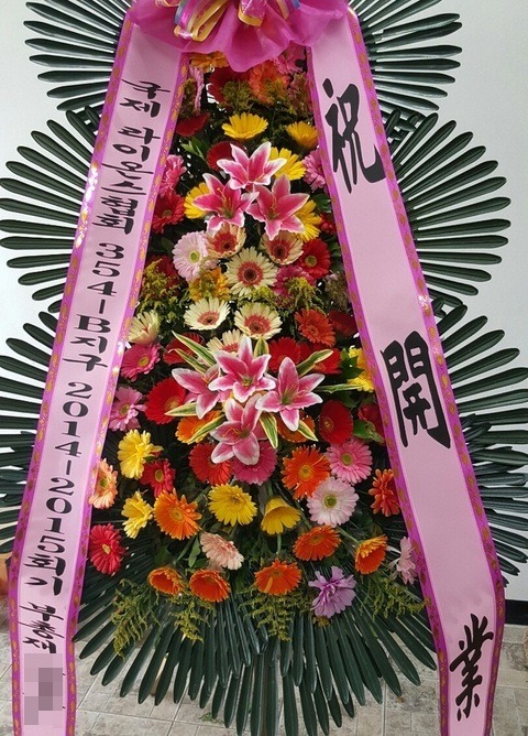 ����ȭȯ3��6��<��*��>