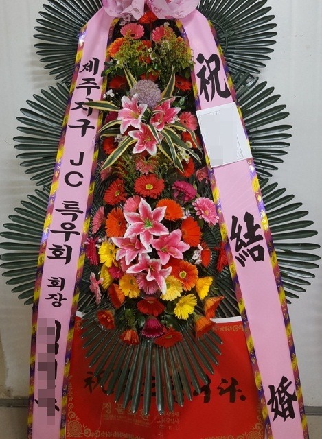 ����ȭȯ3��6��<��*��>