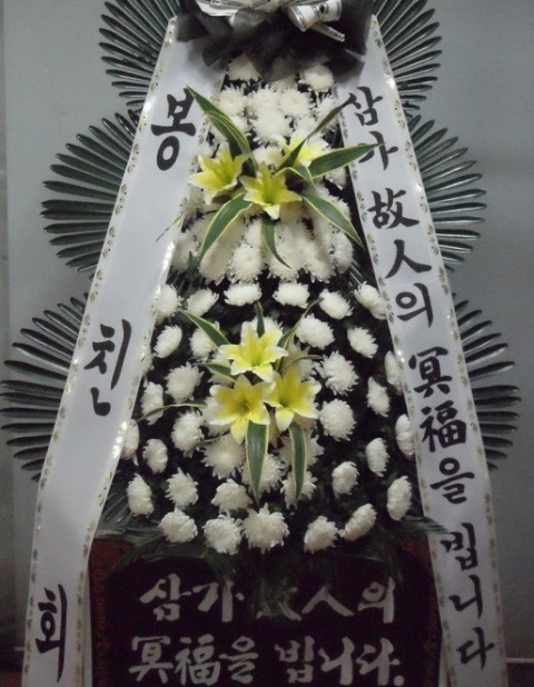 ����ȭȯ3��6��<��*��>