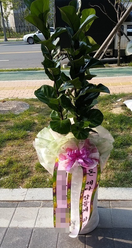 ����ȭ��<��*��>