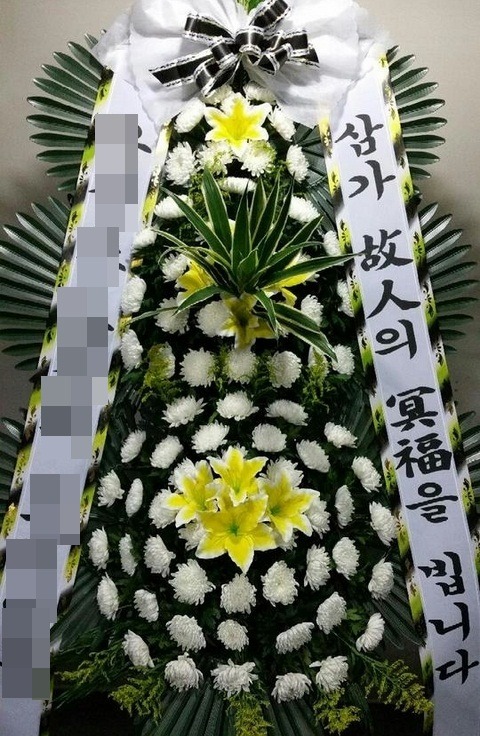 ����ȭȯ3��6��<��*��>