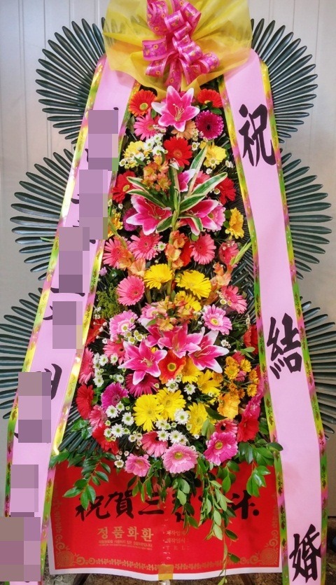 ����ȭȯ3��6��<��*��>