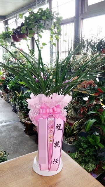 ���糭<��*��>