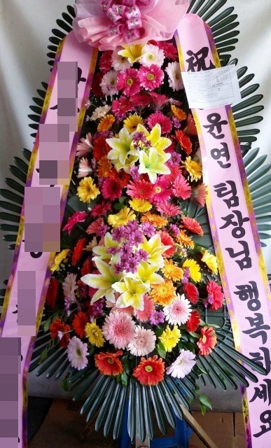 ����ȭȯ3��6��<��*��>