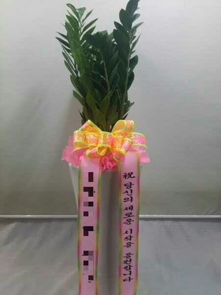 ������<��*��>