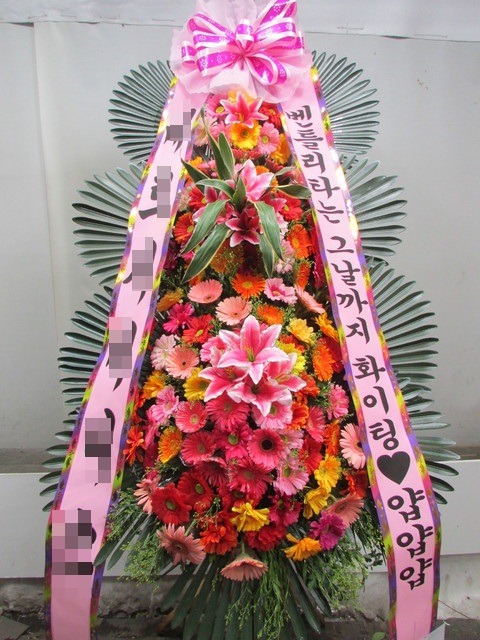 ����ȭȯ3��6��