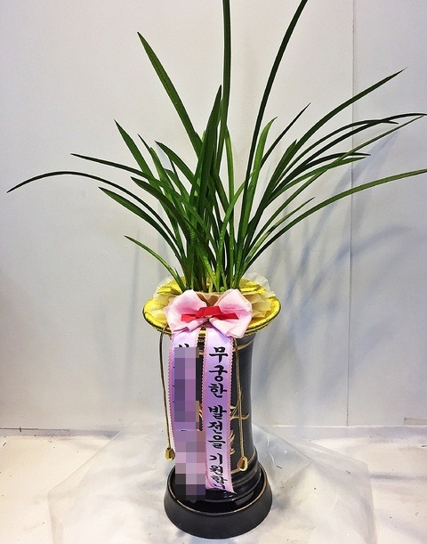 ���糭<��*��>