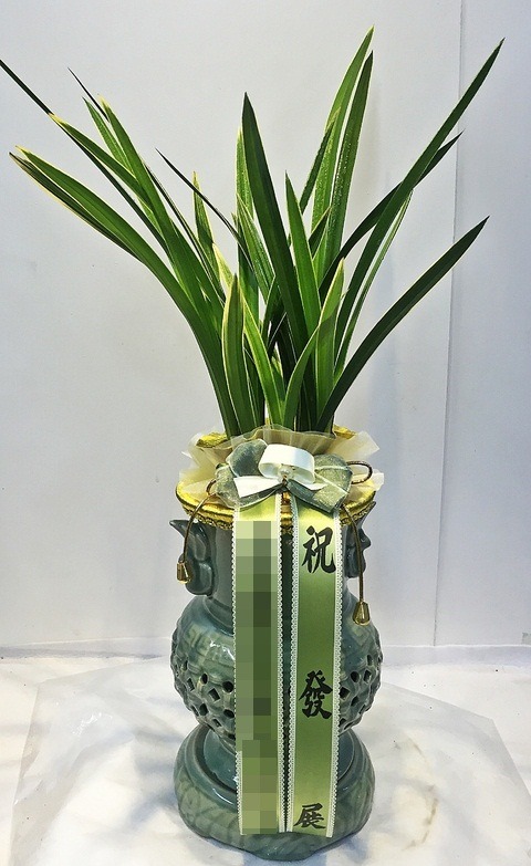 ���糭<��*��>